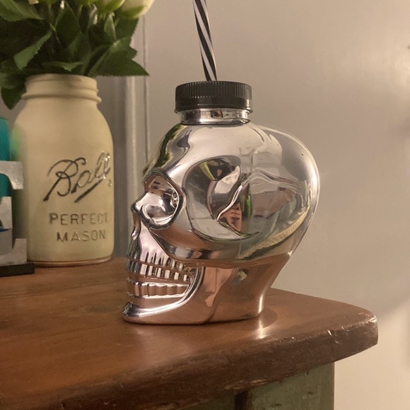 Brand NWT Metallic Silver Skull Shaped Plastic Canteen Tumbler -Lid & Straw - Picture 4 of 6